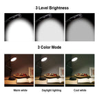 Sinaa Light LED Desk Lamp, 14.3 in, Dimmable Touch Control, Black Finish, 1-Pack