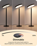 Sinaa Light EDISHINE LED Table Lamp with 2 Adjustable Height, High CRI 90+, 5%-100%