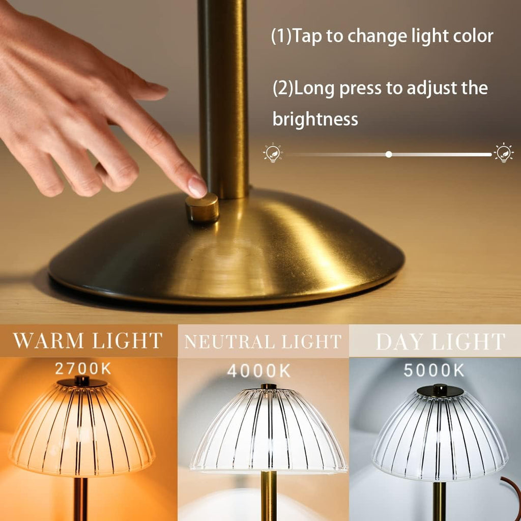 Sinaa Light with Touch Sensor, 3 Color Dimmable Adjustable Brightness, Rechargeable