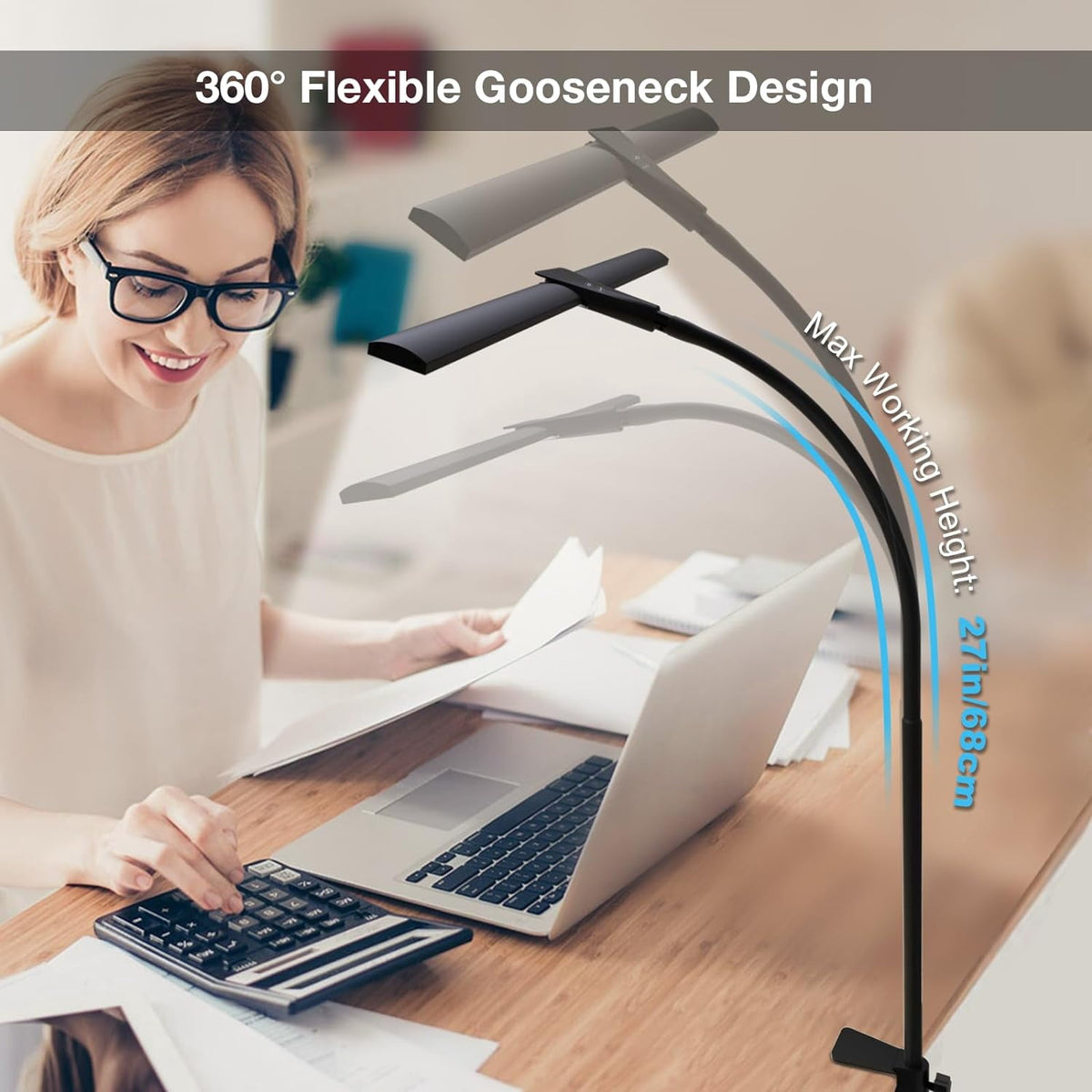 Sinaa Light LED Desk Lamps for Home Office, Double Head Monitor Light- Flexible Hose,