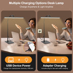 Sinaa Light Lococo LED Desk Lamp, Tall Gooseneck, 5-Level Dimmable Brightness & Color
